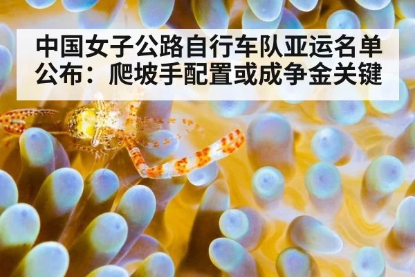 中国女子公路自行车队亚运名单公布：爬坡手配置或成争金关键