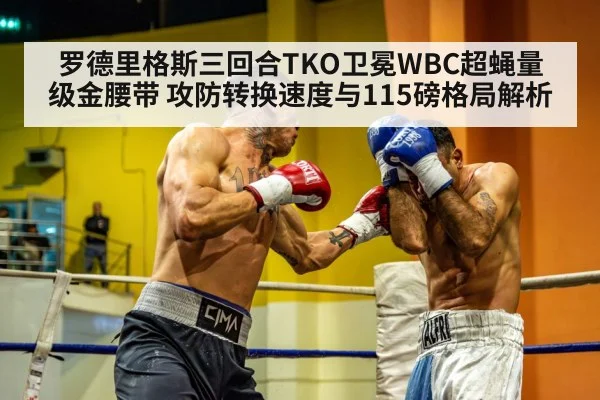 罗德里格斯三回合TKO卫冕WBC超蝇量级金腰带 攻防转换速度与115磅格局解析