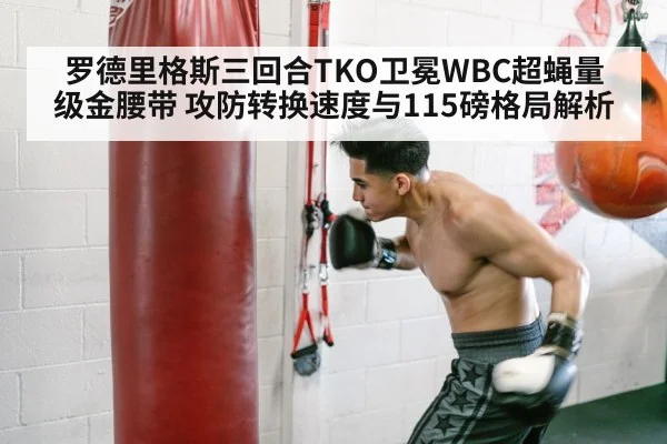 boxer speed training punching bag